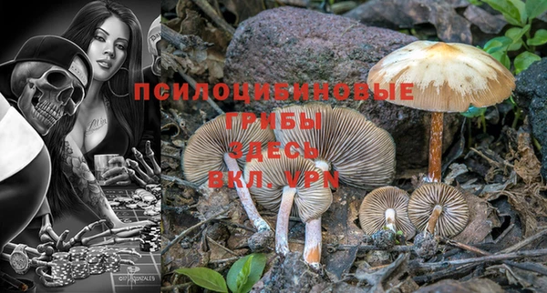 Альфа ПВП Верхнеуральск