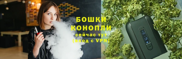 твердый Верхний Тагил