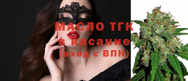 твердый Верхний Тагил