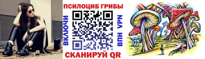 Купить закладки  Харабали  Псилоцибиновые грибы GOLDEN TEACHER 